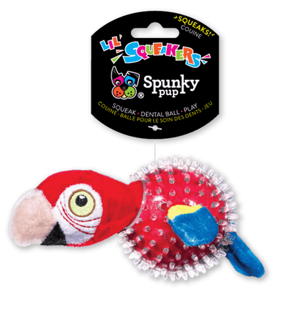 Lil' Squeakers Parrot Spiky Ball for Small Dogs-1