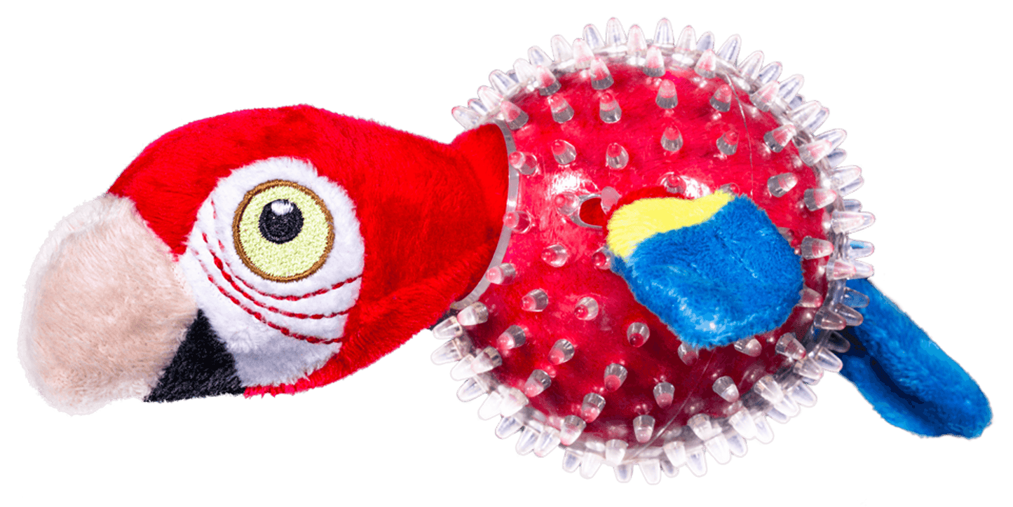 Lil' Squeakers Parrot Spiky Ball for Small Dogs-3